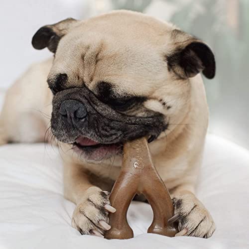 Wishbone Durable Dog Chew Toy for Aggressive Chewers, Made in USA, Small, Real Bacon Flavor