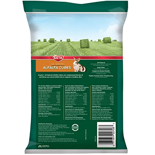 Alfalfa Cubes for Rabbits, Guinea Pigs, and Other Small Animals, 15 oz
