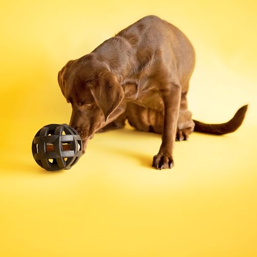 Hol-ee Roller Extreme Dog Toy Puzzle Ball, Natural Rubber, Medium (4.5 Inch Diameter), Colors May Vary