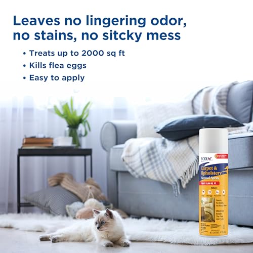 Carpet & Upholstery Aerosol Spray, 16-ounce