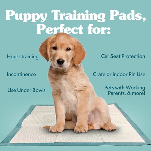 Large Pee Pads For Dogs, XL Puppy Potty Training Wee Wee Pad, 6 Layers Thick, Instashield Absorbent, Attracts Dogs, Leak Proof, Odor Neutralizing, Disposable, LARGE 23x24, 100 Count