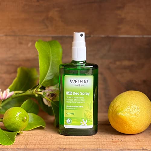 Citrus Deodorant, 3.4 Fluid Ounce