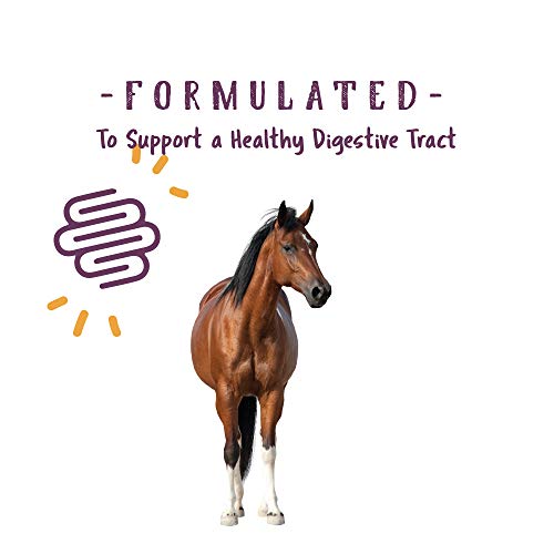 Corp 1000082 Opti-Zyme Microbial Digestive Supplement for Horse, 3-Pound