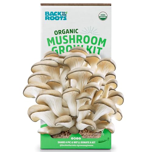 Organic Oyster Mushroom Grow Kit, Harvest Gourmet Mushrooms In 10 Days