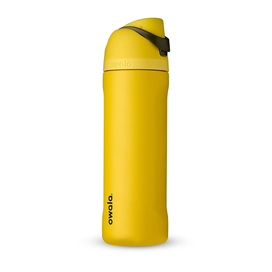 Harry Potter FreeSip Insulated Stainless Steel Water Bottle with Straw, BPA-Free Sports Water Bottle, Great for Travel, 24 oz, Hufflepuff