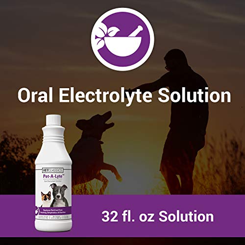 Pet-A-Lyte Oral Electrolyte Solution for Dogs and Cats – Helps Replace Fluids Lost from Pet Dehydration, Diarrhea, Vomiting – Replaces Dog Electrolytes – 32 Oz.