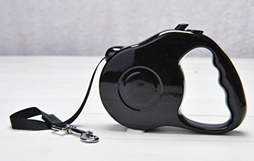 Auto Retractable Dog Leash Explore Training Lead - 10 Ft/16.6Ft Pet Dog Walking Running Rope