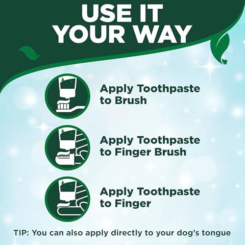 Vet’s Best Enzymatic Dog Toothpaste - Teeth Cleaning and Fresh Breath Dental Care Gel - Vet Formulated - Banana Flavor - 3.5 Ounces