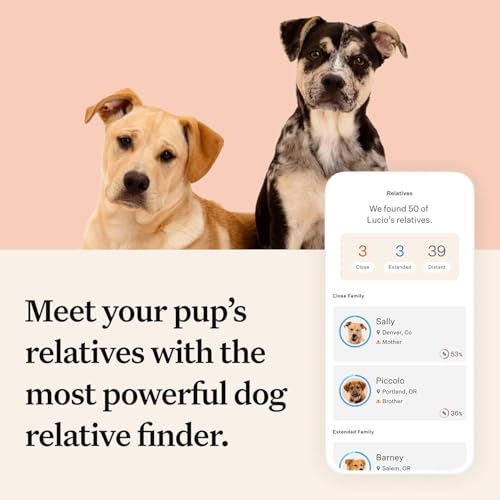 Panel Premium Dog DNA Kit: Most Comprehensive with 265+ Health Tests, Identify 365+ Dog Breeds, 50+ Traits, Relatives, Ancestry, Genetic Diversity - 1 Pack