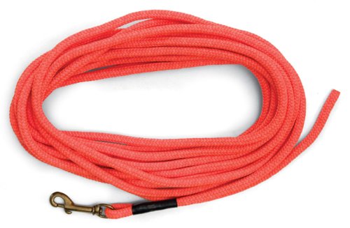 Brand Orange Check Cord - 30 Feet Long - Strong but Lightweight Training Tool - Highly Visible and Floats