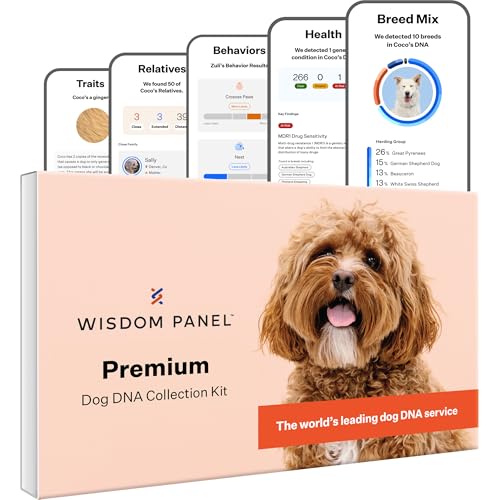Panel Premium Dog DNA Kit: Most Comprehensive with 265+ Health Tests, Identify 365+ Dog Breeds, 50+ Traits, Relatives, Ancestry, Genetic Diversity - 1 Pack