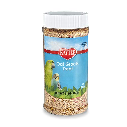 Oat Groats Treat Jar- All Pet Birds 11 oz