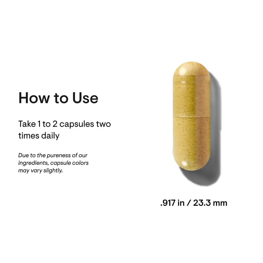 Berberine 1000 mg per Serving - Botanical Supplement - Support Heart Health, Immune System, Healthy GI, Cholesterol - Gluten-Free, Dairy-Free - 60 Capsules - 30 Servings
