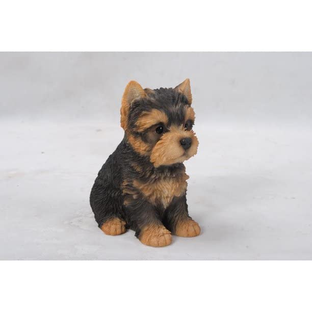 Sitting Yorkshire Terrier Puppy, Brown/Black, 6.5