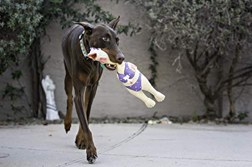 by Charming Pet Squawkers Henrietta Latex Rubber Chicken Interactive Dog Toy, Large