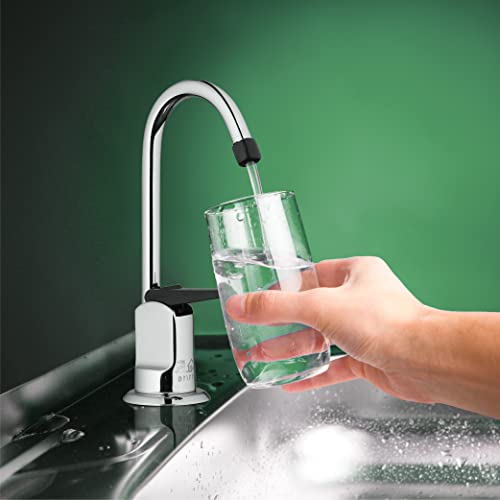 3310-160-CH-B-Z Single Hole 1-Handle Low-Arc Drinking Water Faucet, Chrome Finish