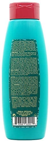 Argan Oil Hydrating Sleek Shampoo, 14 Ounce