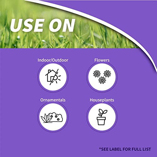 Systemic Houseplant Insect Control, 8 oz Ready-to-Use Granules for Indoors and Outdoors, Protects Plants from Insects
