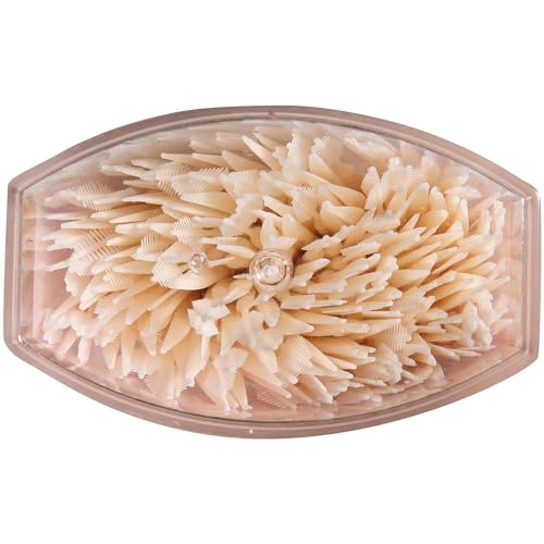 The Doctor's BrushPicks Interdental Toothpicks, 275 pieces per Pack (1-Pack)
