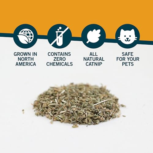 OurPet's Premium Catnip - 2.25 oz Jar of High Potency Catnip - 100% North American Grown