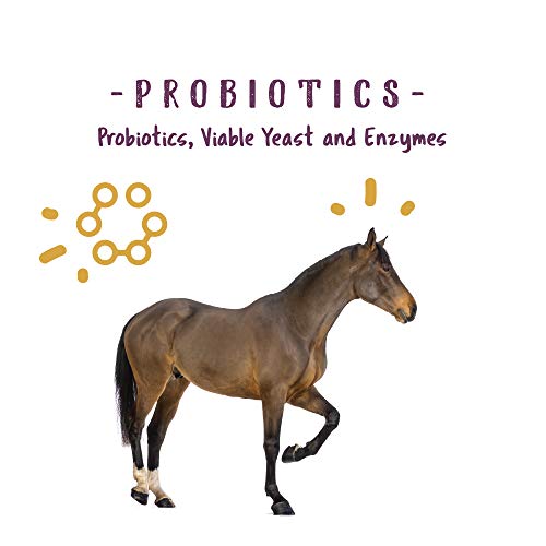 Corp 1000082 Opti-Zyme Microbial Digestive Supplement for Horse, 3-Pound