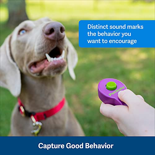 Clik-R Dog Training Clicker - Positive Behavior Reinforcer for Pets - All Ages, Puppy and Adult Dogs - Use to Reward and Train - Training Guide Included - Purple