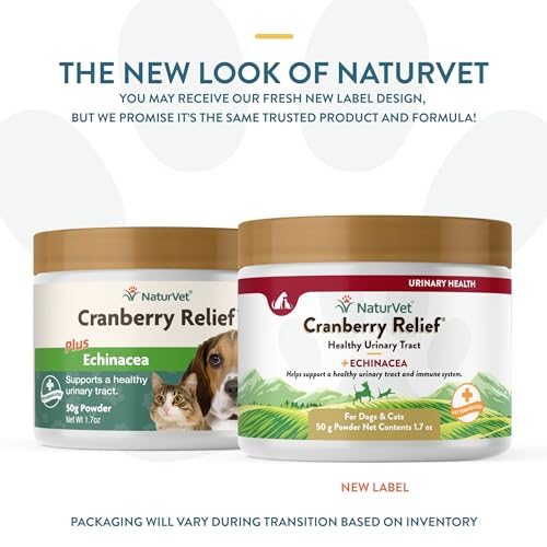 – Cranberry Relief Plus Echinacea | Helps Support a Healthy Urinary Tract & Immune System (50g Powder)