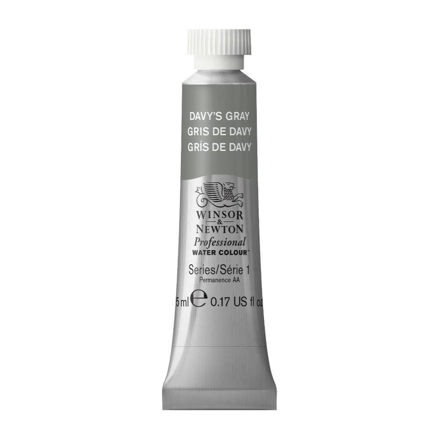 Professional Water Colour Paint, 0.17-oz Tube, Davy's Gray