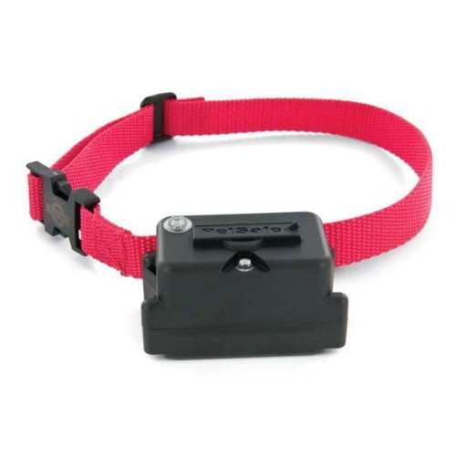 Underground Fence - Stubborn Dog Collar with 2 Free Batteries