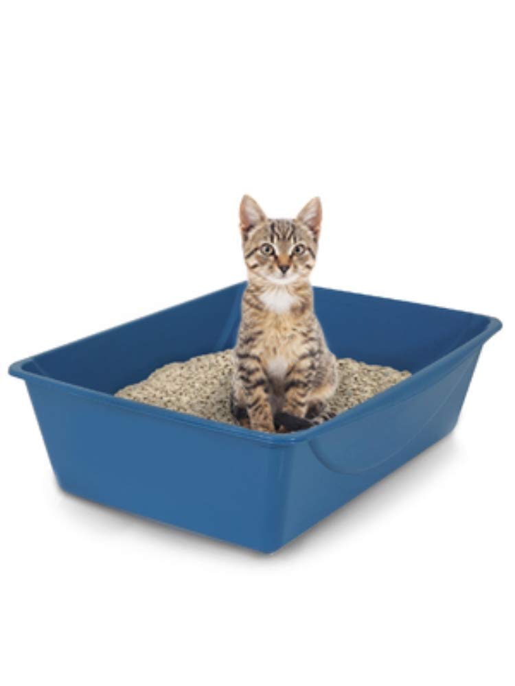 Open Cat Litter Box, Extra Large Nonstick Pan Durable Standard Litter Box, Mouse Grey Great for Small & Large Cats Easy to Clean, Made in USA