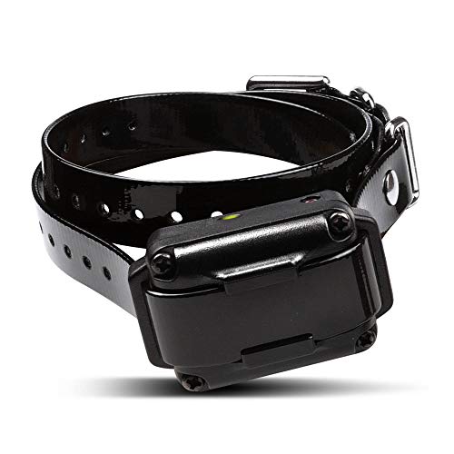 iQ Plus Rechargeable Waterproof 400-Yard Remote Dog Training E-Collar