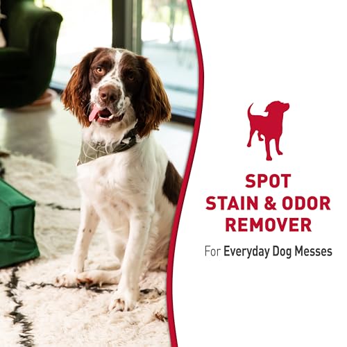 Nature's Miracle - Spray eliminador de olores y Manchas ocasionadas por mascotas dejando un olor a cítrico, fácil y rápido de usar, ideal para interiores, fórmula enzimática, altura de 27 cm