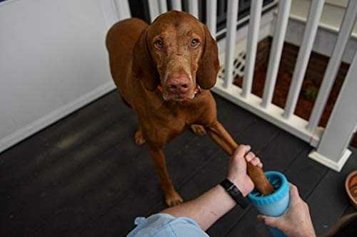 MudBuster Portable Dog Paw Cleaner, Medium, Blue - Premium Quality Pet Supplies and Accessories