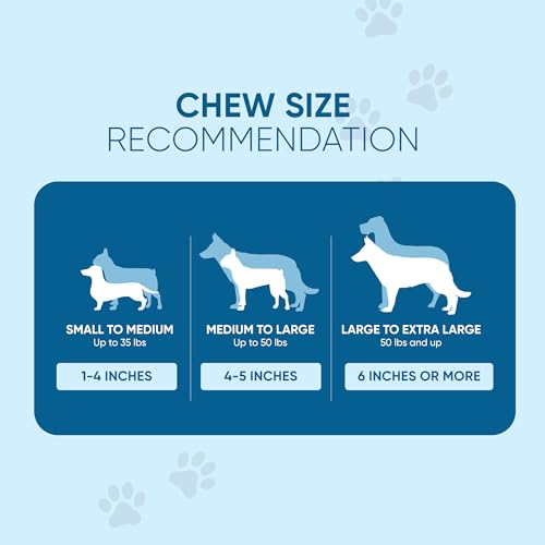 Natural Pig Ears for Dogs, 100% Natural Long Lasting Pork Dog Chews, Ideal for All Chewers, Delicious and Healthy Dog Treats, Pig Ears Large and Mix (one Pack of 100)