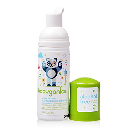 Alcohol-Free Foaming Hand Sanitizer, On-The-Go, Fragrance Free, 1.69 oz, Packaging May Vary