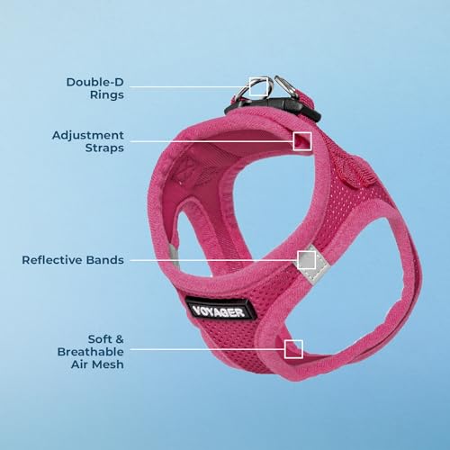 Voyager Step-in Air Dog Harness - All Weather Mesh, Reflective, No Pull Harness for Small, Medium Dogs, Cats - Secure with Hook & Loop Fastener, Buckle, Double D-Rings - Fuchsia, S