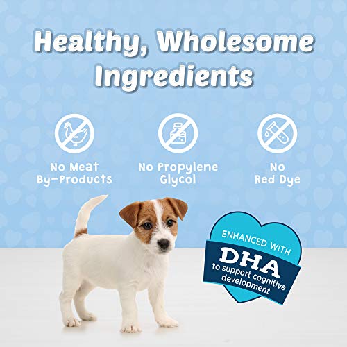 Bits Soft Dog Treats for Training, Made With Natural Ingredients & Enhanced with DHA, Chicken Recipe, 4-oz Bag