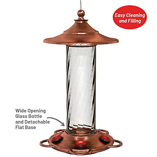 Glory Hummingbird Feeder, Glass Hummingbird Feeders for Outdoors, 5 Feeding Stations, 13 Ounces