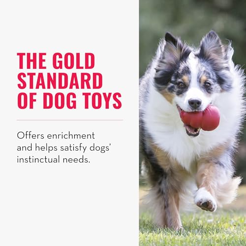 Classic Stuffable Dog Toy - Fetch & Chew Toy for Dogs - Treat-Filling Capabilities & Erratic Bounce for Extended Play Time - Durable Natural Rubber Material - for Large Dogs