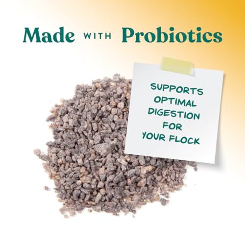 Chick Grit with Probiotics | Formulated with Probiotics and Supports Healthy Digestion | 5 Pounds
