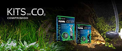 88g-CO2 Bubble Counter - 3.1 Ounces