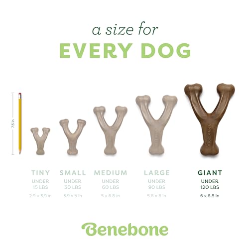 Wishbone Durable Dog Chew Toy for Aggressive Chewers, Made in USA, Giant, Real Bacon Flavor