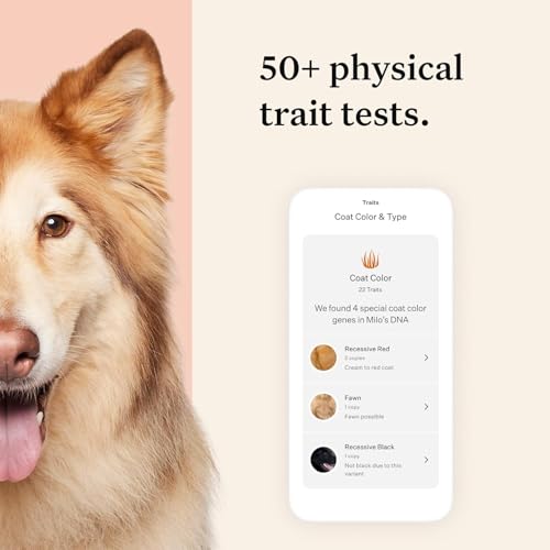 Panel Premium Dog DNA Kit: Most Comprehensive with 265+ Health Tests, Identify 365+ Dog Breeds, 50+ Traits, Relatives, Ancestry, Genetic Diversity - 1 Pack