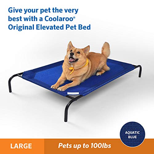 The Original Cooling Elevated Dog Bed, Indoor and Outdoor, Large, Aquatic Blue