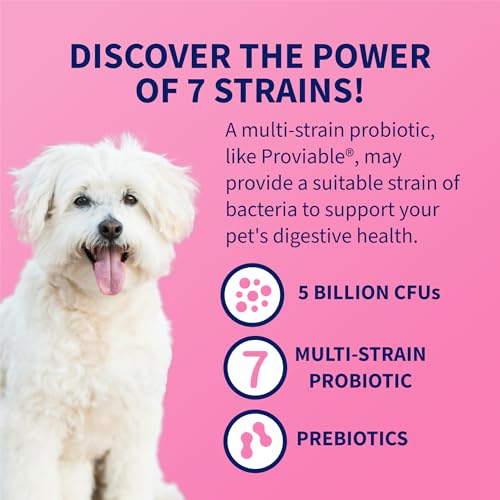 Nutramax Probiotics for Dogs and Cats, Daily Digestive Health Supplement with Multiple Strains of Bacteria, Cat and Dog Probiotics Plus Prebiotics, 80 Capsules