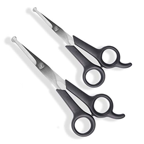 #1 Pet Grooming Scissors Body & Facial Trimmer Durable Stainless Steel Blades. Rounded Tips Shears for Long Medium Short Thick Wiry Curly Hair. Lightweight Cutter for Dogs & Cats. Set of 2