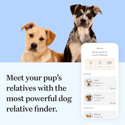 Panel Essential Dog DNA Kit: Most Accurate Test for 365+ Breeds, 30 Genetic Health Conditions, 50+ Traits, Relatives, Ancestry - 1 Pack