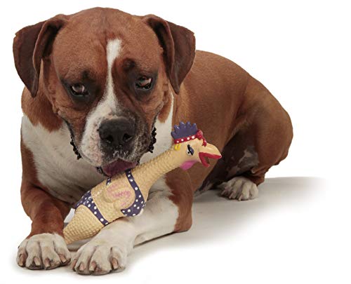 by Charming Pet Squawkers Henrietta Latex Rubber Chicken Interactive Dog Toy, Large