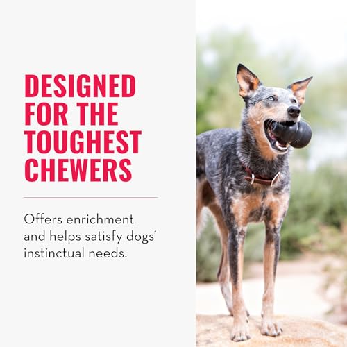 Extreme Dog Toy - Fetch & Chew Toy - Treat-Filling Capabilities & Erratic Bounce for Extended Play Time Most Durable Natural Rubber Material - for Power Chewers - for Large Dogs