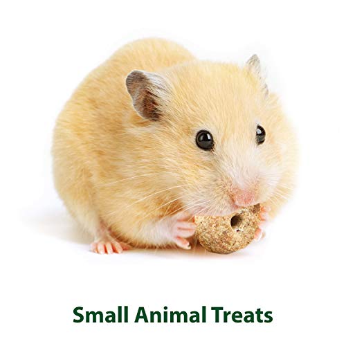 Timothy Biscuits Baked Treat for Pet Guinea Pigs, Rabbits & Other Small Animals, Carrot, 4 oz